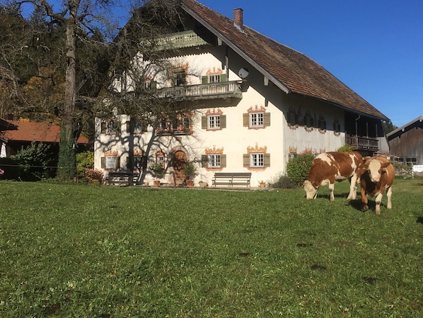 Unterkunftsgelände