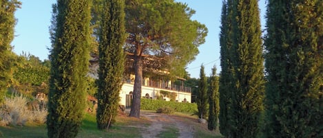 Parco della struttura