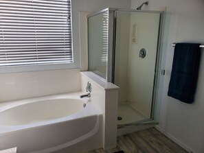 Master bathroom with separate shower and tub