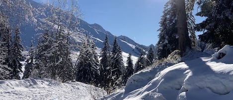 Deportes de invierno