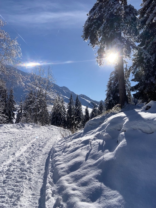 Snow and ski sports