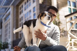 Pet-friendly