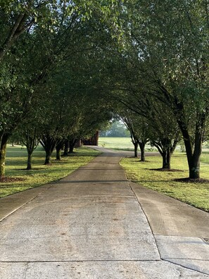 Terrenos do alojamento