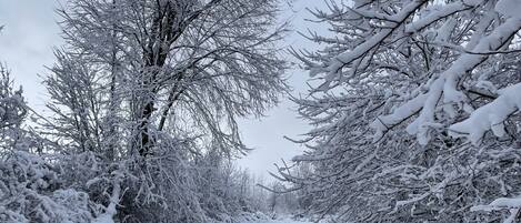 Esportes de neve e esqui