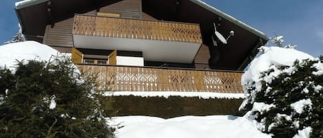 Exteriör