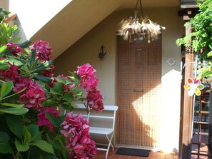 Ingresso