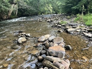 Backyard; you will LOVE playing in the cool clean waters of Richland Creek