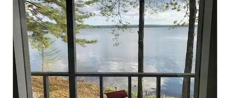 The windows in the house are huge and look out directly onto the lake.