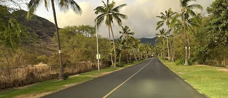 Roadway to paradise!