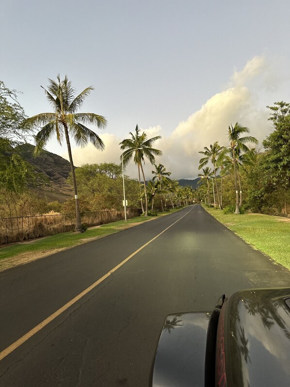 Roadway to paradise!