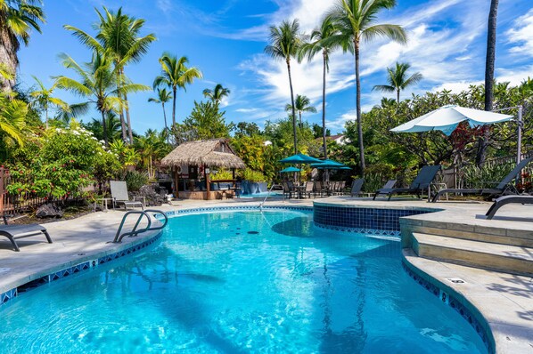 Peaceful saltwater pool surrounded by tropical gardens and foliage.