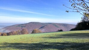 Terrain de l’hébergement 