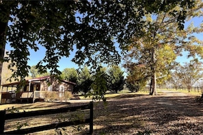 The cabin is the first of 3 homes on our 50 acre horse farm. 