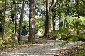 The meandering Hidden Meadows Trail