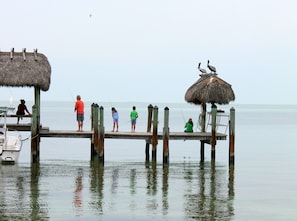 Pier fishing with friends and family. You will have lots of wildlife join you.