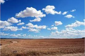 Oklassificerad bild, 5 av 7, knapp