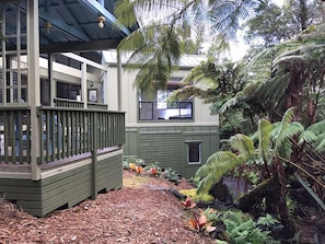 The back lanais and converted artist studio have stunning views of the rainforest.