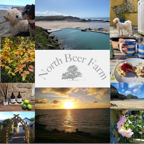 A flavour of North Beer and its beautiful surroundings