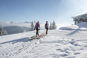 Sports dâhiver