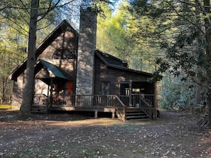 The cabin is secluded and surrounded by nature. 