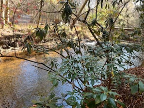 Listen to the babbling Fightingtown creek.