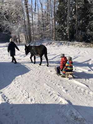 Snow and ski sports