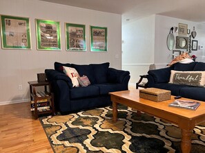 Cozy Fireplace  Living room