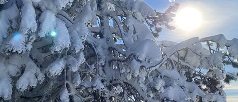 Esportes de neve e esqui