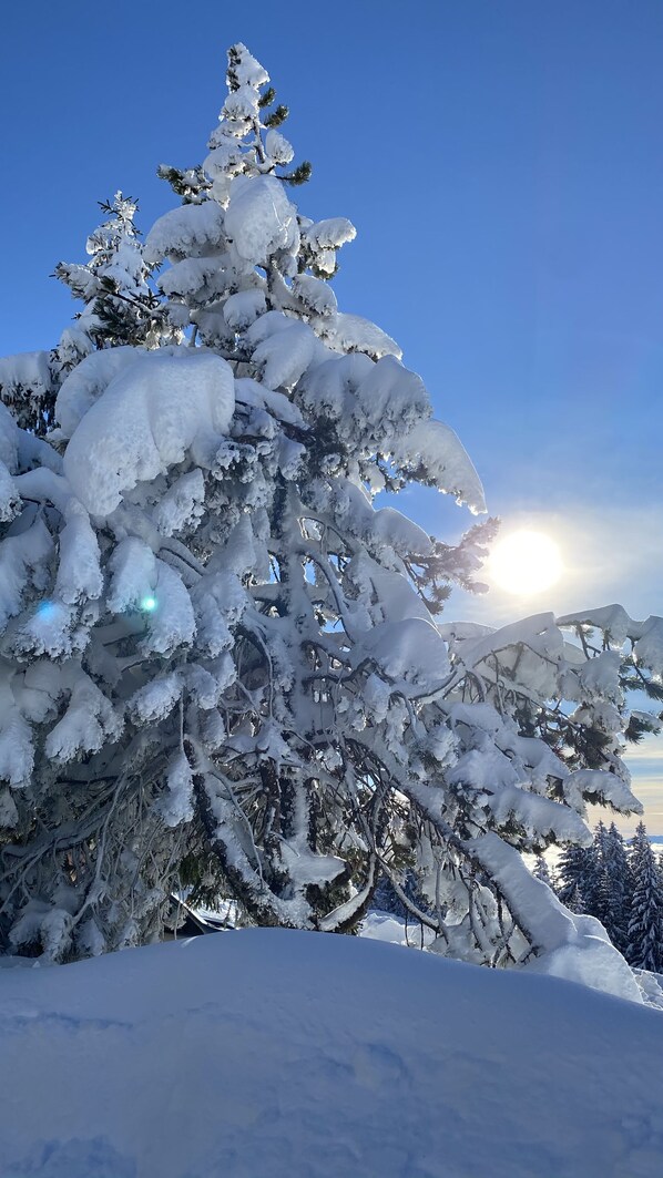 Snow and ski sports