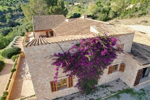 Bougainvilla an der oberen Finca