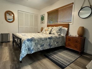 Spacious bedroom with large closet and ample drawer space