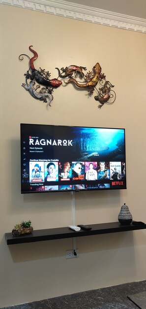 Fernseher