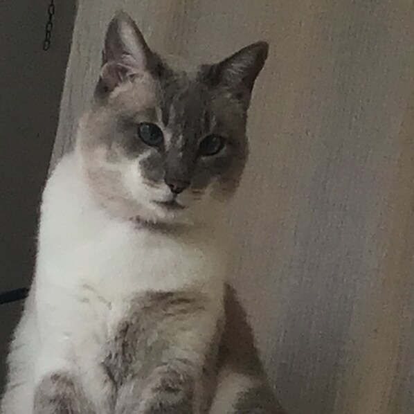 DĂ©tail de lâintĂ©rieur