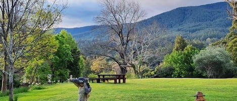 Jardines del alojamiento