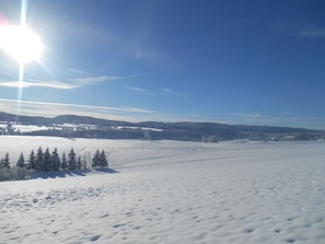 Panorama depuis le Chalet.