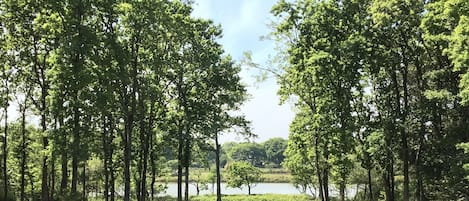 Jardin avec vue sur les marais