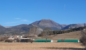 Ferme des millets 