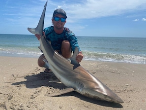 Beach fishing, looks like fun!