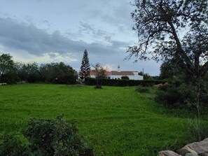 House + garden (one side)
