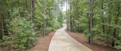 Long, wooded drive up to the house. It’s beautiful!