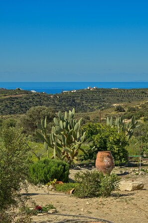 View from your balcony.