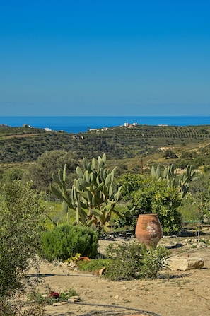 View from your balcony.