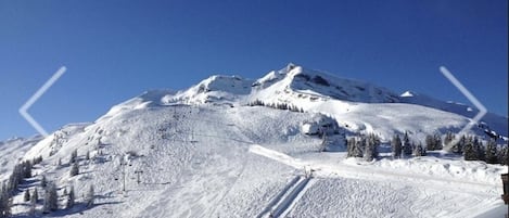 Sneeuw- en skisporten