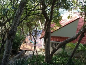 View from the Main House (North)