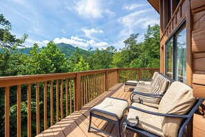 View from the deck with outdoor furniture
