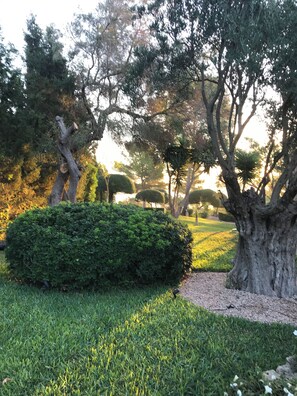 Property grounds