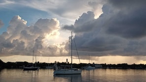 Marina