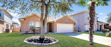 Find the Palm Tree and Welcome to the Zeus Cottage 1- Story