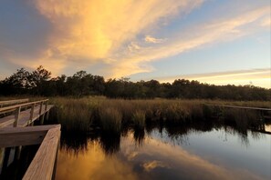 Great views from the dock that sits on the Satilla River. 