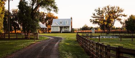 Satilla Retreat 4 bedroom Harbor View House & 1 bedroom Salty Marsh Suite 